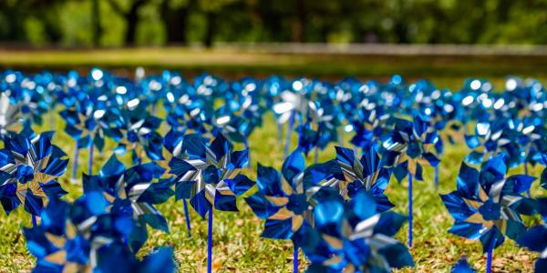 Blue Pinwheels